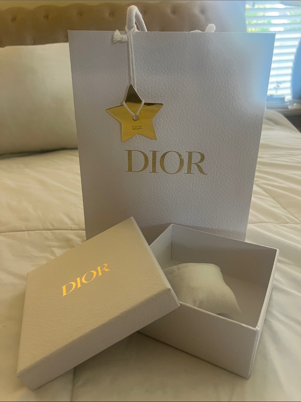 Dior White and Gold Branded Gift Bag with Star Tag and Box